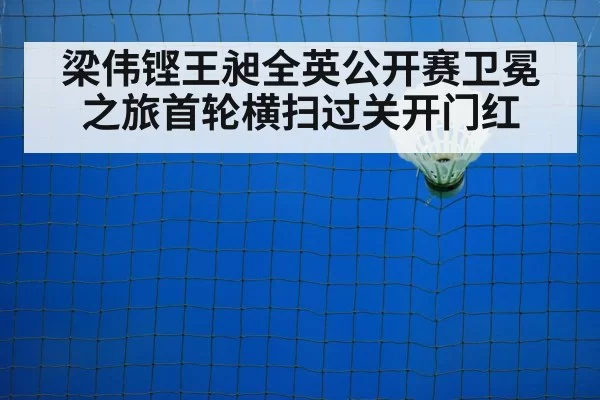 badminton net play