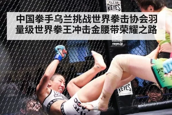 中国拳手乌兰挑战世界拳击协会羽量级世界拳王冲击金腰带荣耀之路